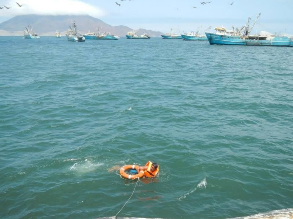Supervivencia en Zonas Remotas (Mar y Selva) - Imagen 11