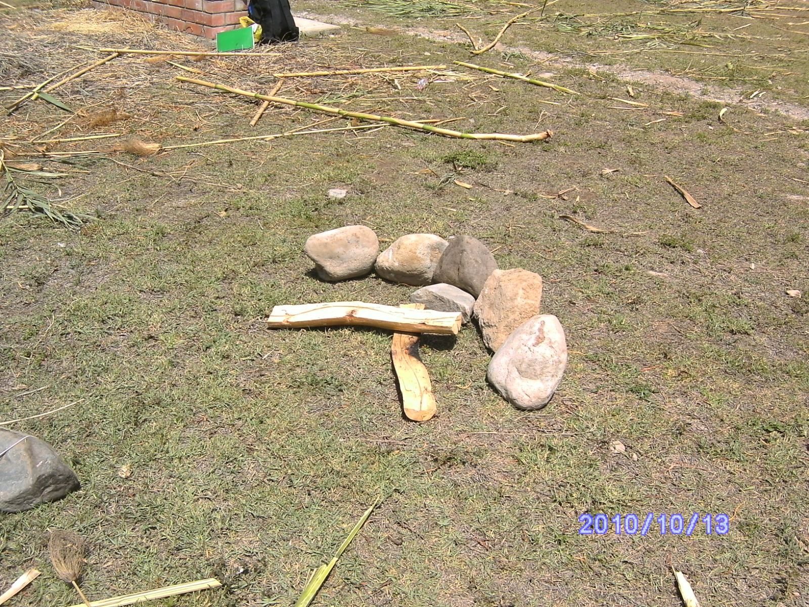 Supervivencia en Zonas Remotas (Mar y Selva) - Imagen 19
